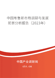 中國布魯斯市場調(diào)研與發(fā)展前景分析報告（2023年）