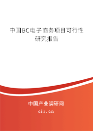 中國BC電子商務(wù)項(xiàng)目可行性研究報(bào)告