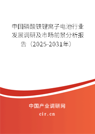中國磷酸鐵鋰離子電池行業(yè)發(fā)展調(diào)研及市場前景分析報告（2024-2030年）