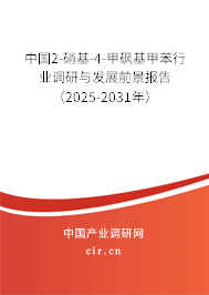 中國2-硝基-4-甲砜基甲苯行業(yè)調(diào)研與發(fā)展前景報告（2025-2031年）