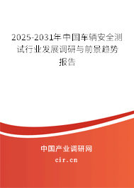 2025-2031年中國車輛安全測試行業(yè)發(fā)展調研與前景趨勢報告