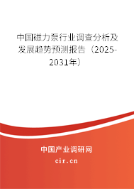 中國磁力泵行業(yè)調(diào)查分析及發(fā)展趨勢預測報告（2025-2031年）