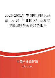 2025-2031年中國地理信息系統(tǒng)（GIS）產業(yè)園區(qū)行業(yè)發(fā)展深度調研與未來趨勢報告