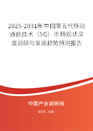 2025-2031年中國第五代移動通信技術(shù)（5G）市場現(xiàn)狀深度調(diào)研與發(fā)展趨勢預(yù)測報(bào)告