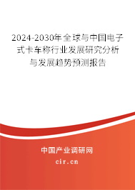 2024-2030年全球與中國電子式卡車稱行業(yè)發(fā)展研究分析與發(fā)展趨勢預測報告