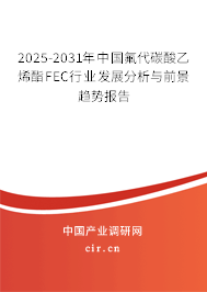 2025-2031年中國(guó)氟代碳酸乙烯酯FEC行業(yè)發(fā)展分析與前景趨勢(shì)報(bào)告