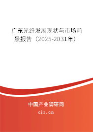 廣東光纖發(fā)展現(xiàn)狀與市場前景報告（2025-2031年）