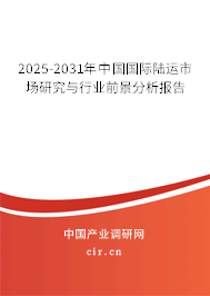 2025-2031年中國國際陸運市場研究與行業(yè)前景分析報告