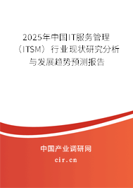 2025年中國(guó)IT服務(wù)管理（ITSM）行業(yè)現(xiàn)狀研究分析與發(fā)展趨勢(shì)預(yù)測(cè)報(bào)告