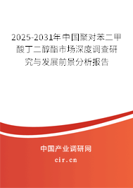 2025-2031年中國(guó)聚對(duì)苯二甲酸丁二醇酯市場(chǎng)深度調(diào)查研究與發(fā)展前景分析報(bào)告