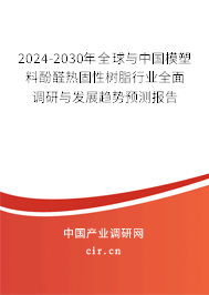 2024-2030年全球與中國模塑料酚醛熱固性樹脂行業(yè)全面調(diào)研與發(fā)展趨勢預(yù)測報告