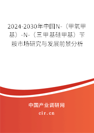 2024-2030年中國(guó)N-（甲氧甲基）-N-（三甲基硅甲基）芐胺市場(chǎng)研究與發(fā)展前景分析