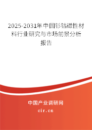 2025-2031年中國釤鈷磁性材料行業(yè)研究與市場前景分析報(bào)告