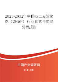 2025-2031年中國(guó)雙二五硫化劑（DHBP）行業(yè)現(xiàn)狀與前景分析報(bào)告
