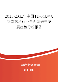 2025-2031年中國TD-SCDMA終端芯片行業(yè)全面調(diào)研與發(fā)展趨勢分析報告