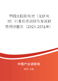 中國太陽能電池（光伏電池）行業(yè)現(xiàn)狀調(diào)研與發(fā)展趨勢預(yù)測報告（2025-2031年）