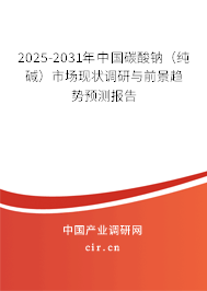 2025-2031年中國碳酸鈉（純堿）市場(chǎng)現(xiàn)狀調(diào)研與前景趨勢(shì)預(yù)測(cè)報(bào)告