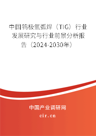 中國鎢極氬弧焊（TIG）行業(yè)發(fā)展研究與行業(yè)前景分析報告（2024-2030年）