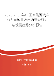 2025-2031年中國(guó)新能源汽車(chē)動(dòng)力電池回收市場(chǎng)調(diào)查研究與發(fā)展趨勢(shì)分析報(bào)告
