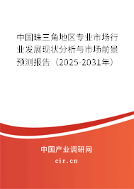 中國珠三角地區(qū)專業(yè)市場行業(yè)發(fā)展現(xiàn)狀分析與市場前景預(yù)測報告（2025-2031年）