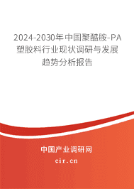 2023-2029年中國聚醯胺-PA塑膠料行業(yè)現(xiàn)狀調(diào)研與發(fā)展趨勢分析報告