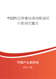 中國耐壓稱重給煤機(jī)項目可行性研究報告