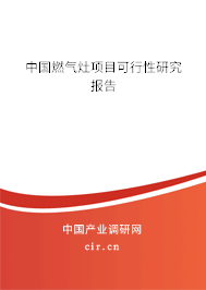 中國(guó)燃?xì)庠铐?xiàng)目可行性研究報(bào)告