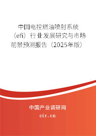 中國(guó)電控燃油噴射系統(tǒng)（efi）行業(yè)發(fā)展研究與市場(chǎng)前景預(yù)測(cè)報(bào)告（2025年版）