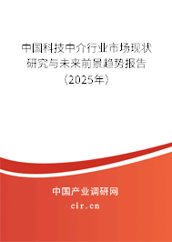 中國科技中介行業(yè)市場現狀研究與未來前景趨勢報告（2025年）