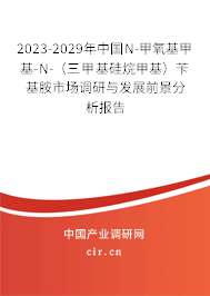 2023-2029年中國N-甲氧基甲基-N-（三甲基硅烷甲基）芐基胺市場調(diào)研與發(fā)展前景分析報告