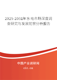 2025-2031年水電市場深度調(diào)查研究與發(fā)展前景分析報告