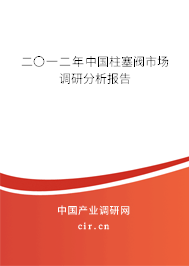 二〇一二年中國柱塞閥市場調(diào)研分析報告