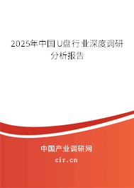 2025年中國U盤行業(yè)深度調(diào)研分析報(bào)告