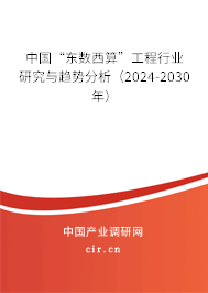 中國“東數(shù)西算”工程行業(yè)研究與趨勢分析（2024-2030年）