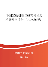 中國架橋機市場研究分析及發(fā)展預測報告（2025年版）
