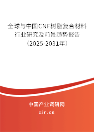 全球與中國CNF樹脂復(fù)合材料行業(yè)研究及前景趨勢報告（2025-2031年）