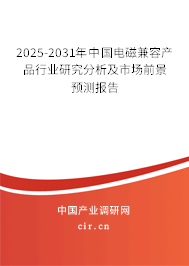 2025-2031年中國電磁兼容產(chǎn)品行業(yè)研究分析及市場前景預測報告