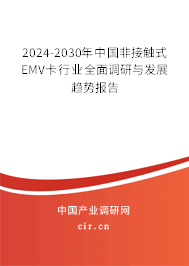 2024-2030年中國非接觸式EMV卡行業(yè)全面調(diào)研與發(fā)展趨勢報告