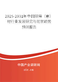 2025-2031年中國(guó)鋼帶（卷）材行業(yè)發(fā)展研究與前景趨勢(shì)預(yù)測(cè)報(bào)告