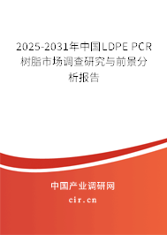 2025-2031年中國LDPE PCR樹脂市場(chǎng)調(diào)查研究與前景分析報(bào)告