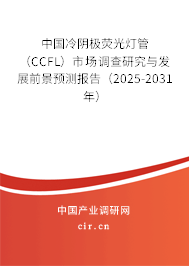 中國(guó)冷陰極熒光燈管（CCFL）市場(chǎng)調(diào)查研究與發(fā)展前景預(yù)測(cè)報(bào)告（2025-2031年）
