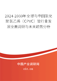2024-2030年全球與中國氯化聚氯乙烯（CPVC）管行業(yè)發(fā)展全面調(diào)研與未來趨勢分析