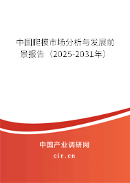 中國(guó)爬模市場(chǎng)分析與發(fā)展前景報(bào)告（2025-2031年）