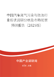 中國汽車尾氣污染與防治行業(yè)現(xiàn)狀調(diào)研分析及市場前景預測報告（2025版）