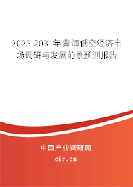 2025-2031年青海低空經(jīng)濟(jì)市場調(diào)研與發(fā)展前景預(yù)測(cè)報(bào)告