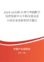 2024-2030年全球與中國數(shù)字版權(quán)管理平臺(tái)市場(chǎng)深度調(diào)查分析及發(fā)展趨勢(shì)研究報(bào)告