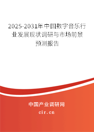 2025-2031年中國數(shù)字音樂行業(yè)發(fā)展現(xiàn)狀調(diào)研與市場前景預(yù)測報告