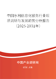 中國水利信息化服務(wù)行業(yè)現(xiàn)狀調(diào)研與發(fā)展趨勢分析報告（2025-2031年）