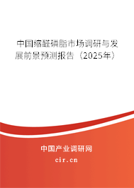 中國(guó)縮醛磷脂市場(chǎng)調(diào)研與發(fā)展前景預(yù)測(cè)報(bào)告（2025年）