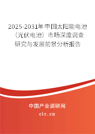 2025-2031年中國太陽能電池（光伏電池）市場深度調(diào)查研究與發(fā)展前景分析報告